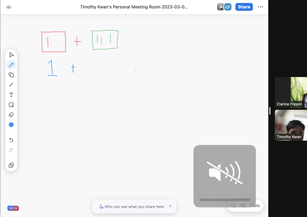 Zoom Tutoring